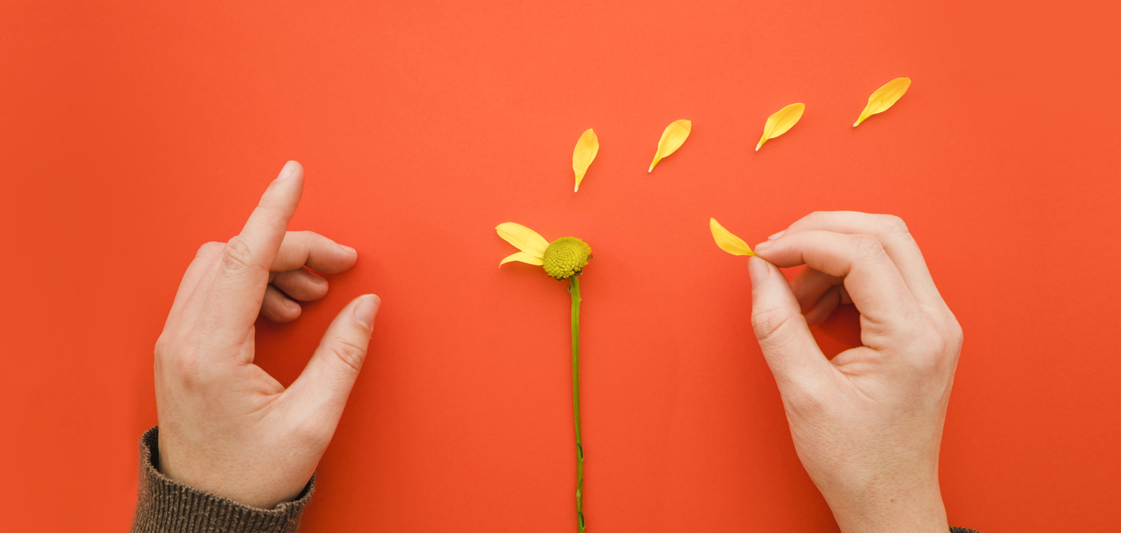 Cómo elegir agencia marketing digital para tu negocio | Consejos con criterio